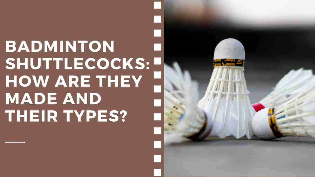 Badminton Shuttlecocks: How Are They Made and Their Types?